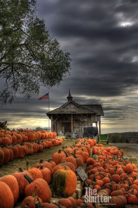 Autumn Pumpkin | Fall pictures, Pumpkin, Fall pumpkins