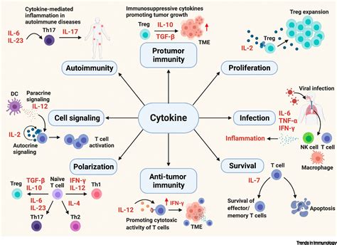 Predicting and Preventing Immune Checkpoint Inhibitor Toxicity ...