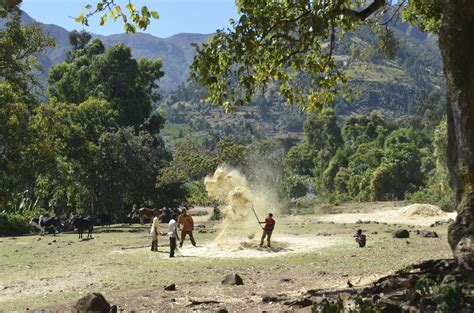 People - The Gurage Zone of Ethiopia እንኳን ደህና መጡ!