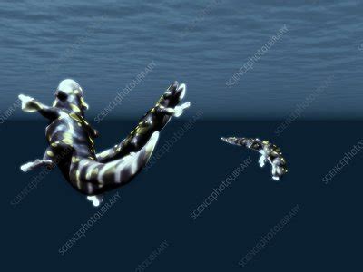 Early tetrapods - Stock Image - E446/0539 - Science Photo Library