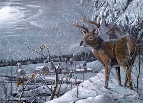 Deer Winter Scenes Wallpapers - 4k, HD Deer Winter Scenes Backgrounds ...