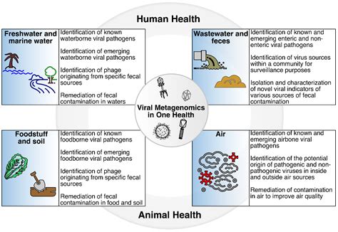 Viruses | Free Full-Text | Viral Metagenomics as a Tool to Track ...