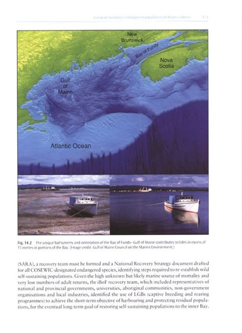 The Atlantic Salmon: Genetics, Conservation and Management | NHBS ...