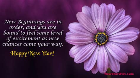 New Year New You Quotes 2025 - New Year Wiki