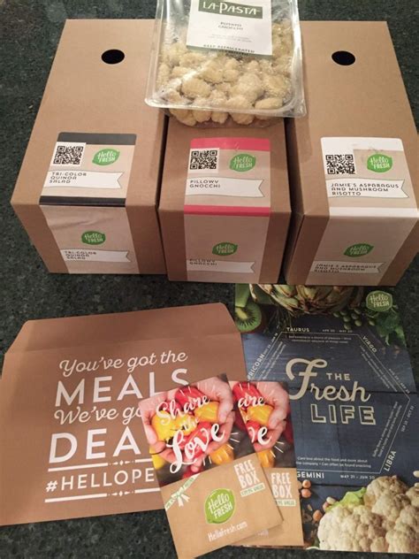 Hello Fresh Vegetarian December 2016 Subscription Box Review + Coupon ...