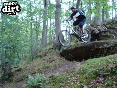 Wyre Forest Mountain Bike Trails | Photo 27652