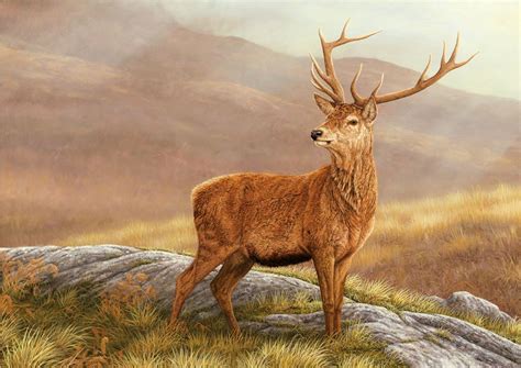 Red Stag Print | Wildlife artists, Wildlife paintings, Art