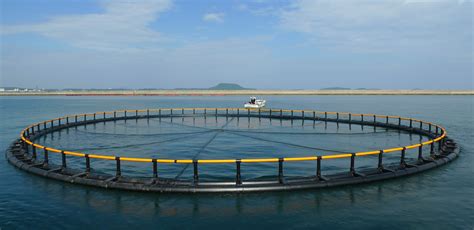 Aquaculture fish cage - STANDARD - Toford Aquaculture - round / floating