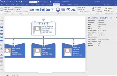 Aliasing Data Columns for Visio Organization Chart Wizard - bVisual