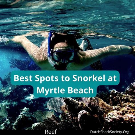 Is Snorkeling in Myrtle Beach Any Good? - Dutch Shark Society