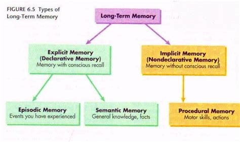 long term memory - Google Search | Learning How To Learn | How to memorize things, Psychology ...