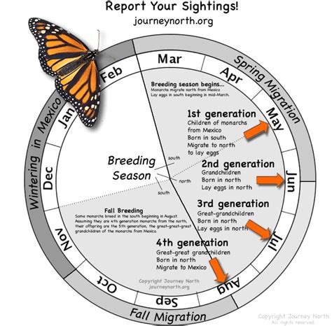 Monarchs are on the move and this year’s large numbers are a hopeful sign!🤞🏻Did you know?! You ...