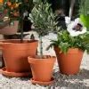 Terracotta Standard Pot – Urban Plant Life