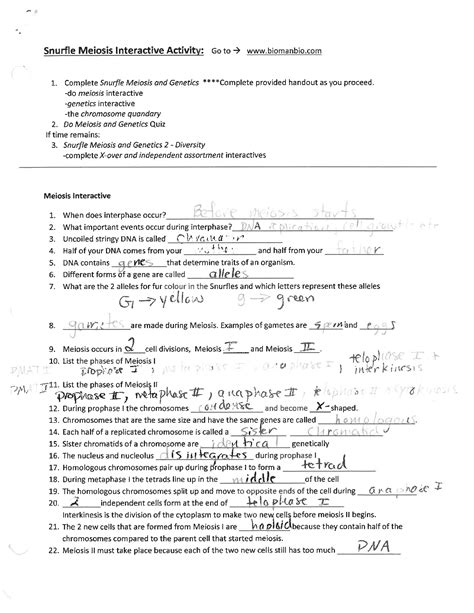 SOLUTION: Snurfle meiosis interactive key - Studypool