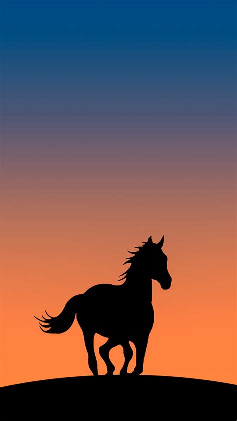 HORSE SILHOUETTE, "horse, animal, dark, light, night, red, sunset, HD ...