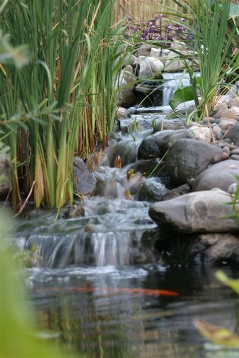 simple-backyard-pond-waterfalls | HomeMydesign