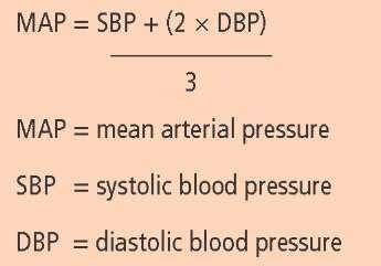 Assessment, Paramedics and Blood pressure on Pinterest