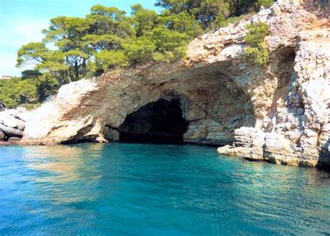 Alonnisos island - Travel in Greece with Dolphin Hellas