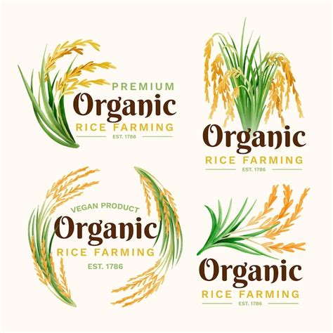 Rice logos Vectors & Illustrations for Free Download | Freepik