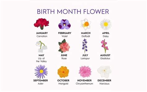 12 Korean Birth Flower For Each Month With Meanings To Know About Anyone | Birth flower tattoos ...