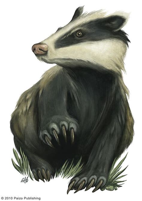 DF2014:Giant badger - Dwarf Fortress Wiki