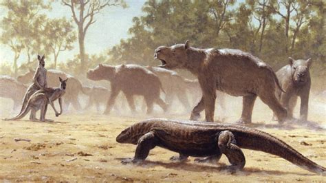 Diprotodon: Australia's extinct giant wombat-like marsupial may have been seasonal migrant - ABC ...