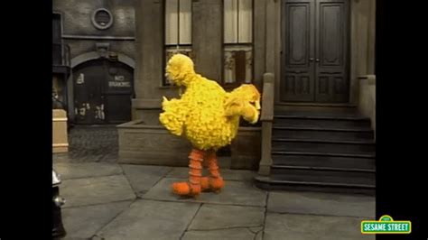 Big Bird GIF by Sesame Street - Find & Share on GIPHY