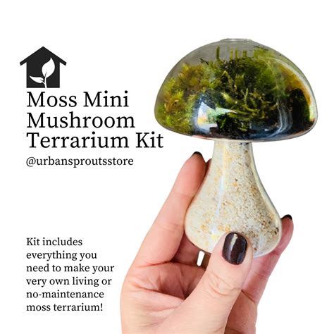 Mushroom Terrarium Kit – Urban Sprouts