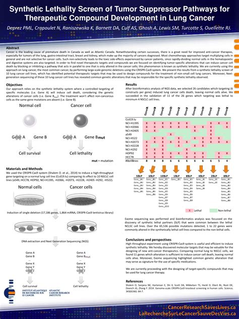 (PDF) Synthetic Lethality Screen of Tumor Suppressor Pathways for Therapeutic Compound ...