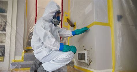 Reasons To Hire Mold Removal Services In Tamarac – Interior Design Ideas and Architecture ...