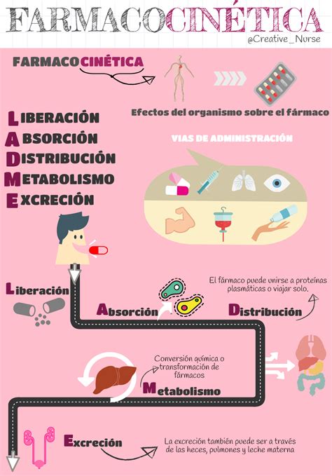 Farmacocinética – Enfermería Creativa