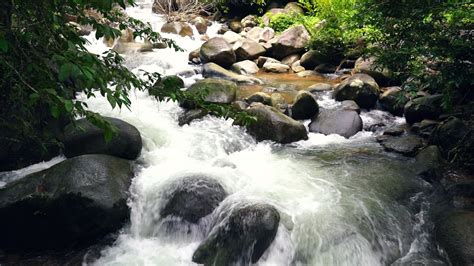 beautiful natural stream waterfall and green forest in the mountain ...