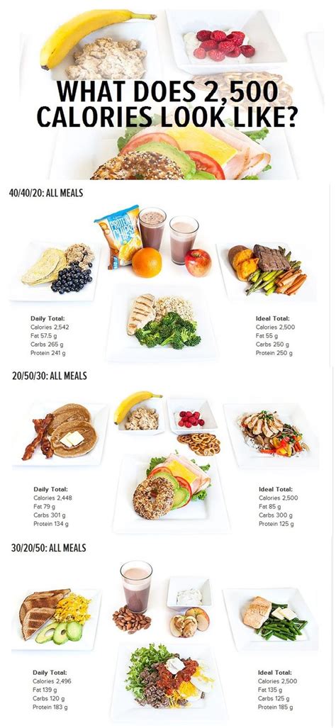 5000 calories a day meal plan - brackeenwaldo