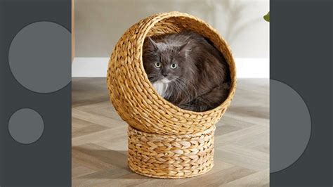 Aldi's Woven Banana Leaf Cat Egg Chair is Stylish and Comforting