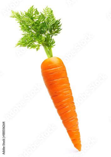 an orange carrot with some green leaves on it's top and the end of its ...