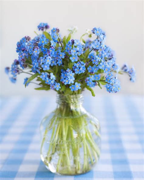 17 Best images about Forget-me-not Bouquet - No me olvides on Pinterest ...