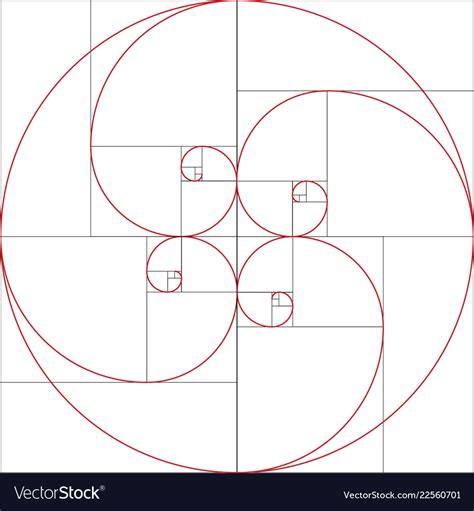 Fibonacci spiral golden ratio Royalty Free Vector Image