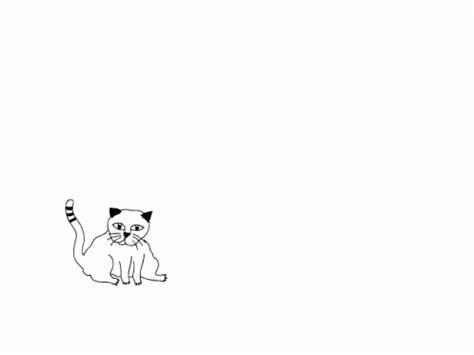 Cat Bounce GIF - Cat Bounce Jump - Discover & Share GIFs