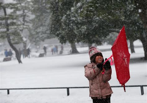 Pictures: Rare Heavy Snowfall Hits Tokyo - Business Insider