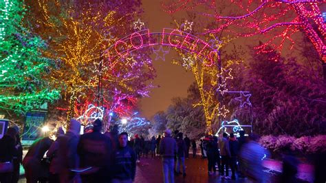 ZooLights is Beautiful. : r/washingtondc