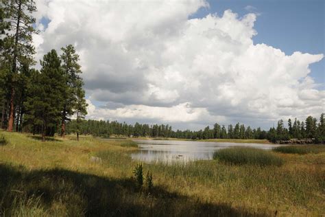 Whitehorse Lake Trails in the Kaibab National Forest - PHOENIX magazine