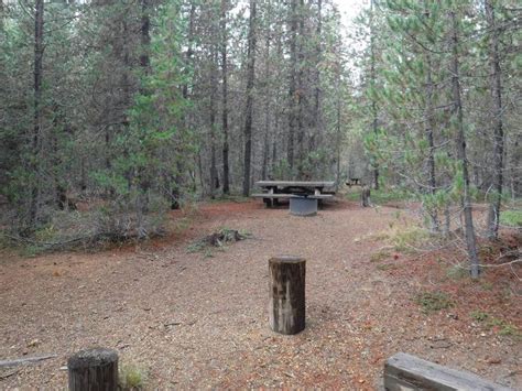 Take a trip to Poole Creek Campground - Outdoorsy in , OR | Outdoorsy