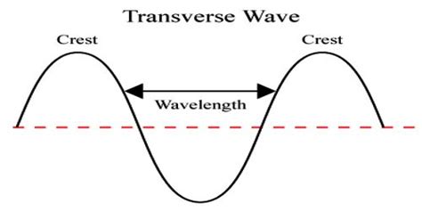 Characteristics of Transverse Waves - QS Study