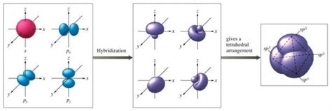 ClO3- Lewis Structure, Molecular Geometry, Hybridization, and Polarity - Techiescientist