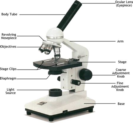 School Science laboratory Equipment list and uses | Labkafe - Labkafe Blog