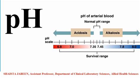 pH | Hydrogen Ion Concentration | Normal pH Range | Survival Range | Acid Base Balance ...