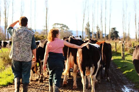 Riverside Farm | What We Do | Riverside Community NZ