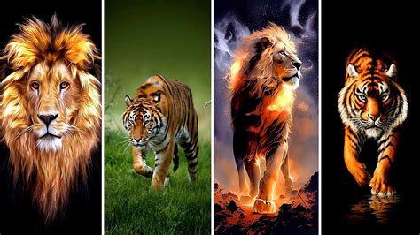 Mobile Wallpapers | Lions & Tiger Wallpapers | Wallpapers | Mobile ...