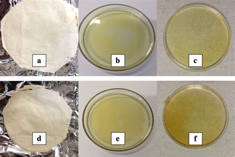 Unloaded zein films obtained through (a) electrospinning, (b) solvent... | Download Scientific ...