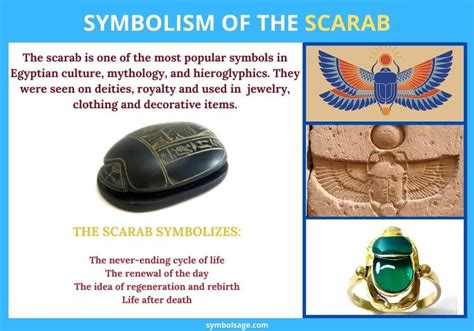 Scarab Symbol meaning - Symbol Sage